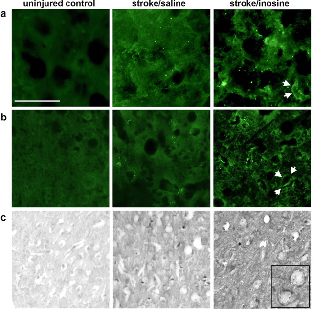 Figure 6.