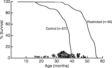 Fig. 13.4