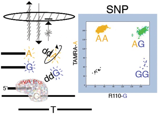 Figure 1: