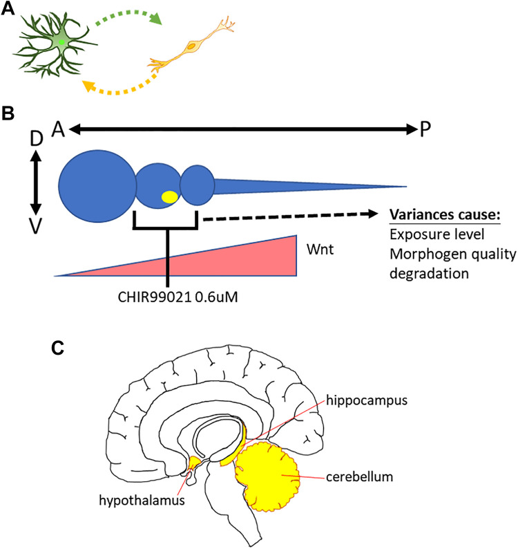 Figure 3.