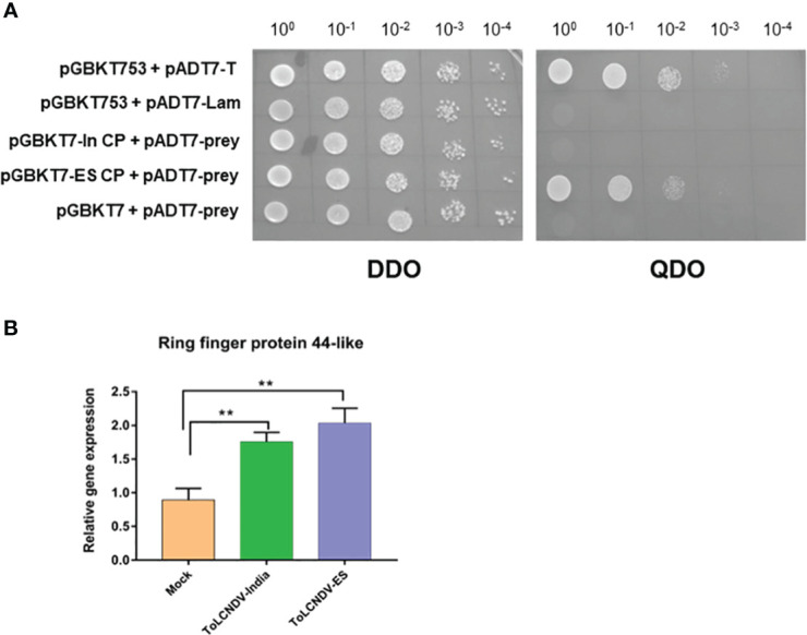 Figure 4