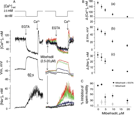 Figure 4