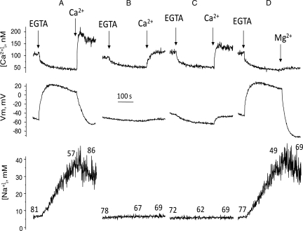 Figure 2