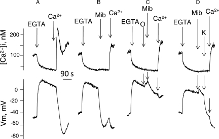 Figure 6