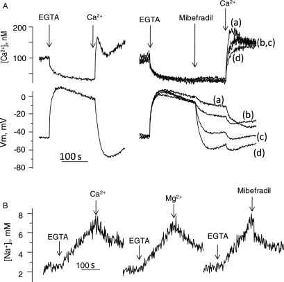 Figure 5