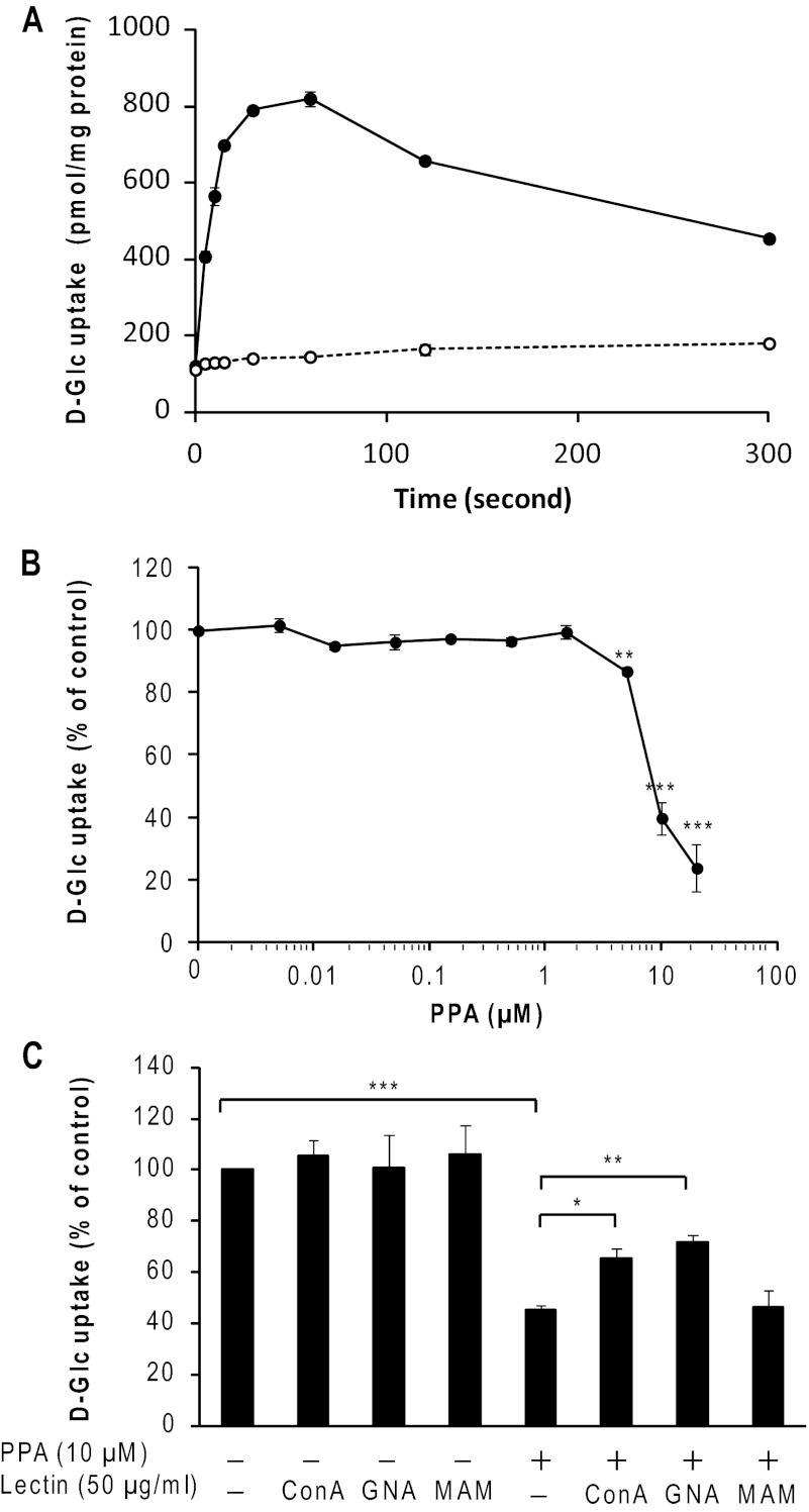 FIGURE 9.