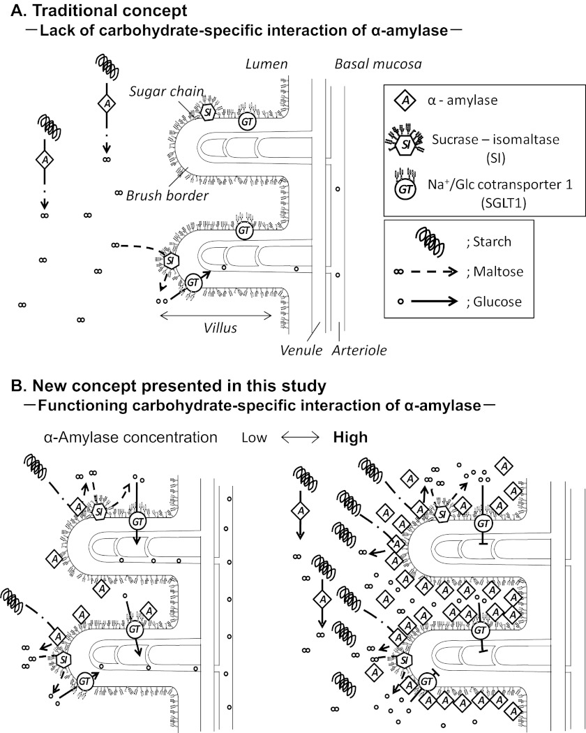 FIGURE 12.