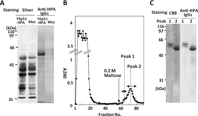 FIGURE 10.