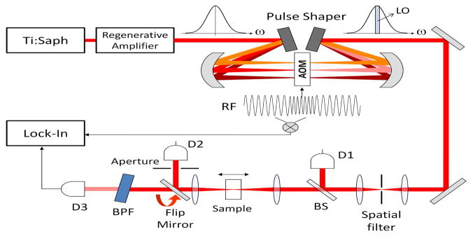 Fig. 1