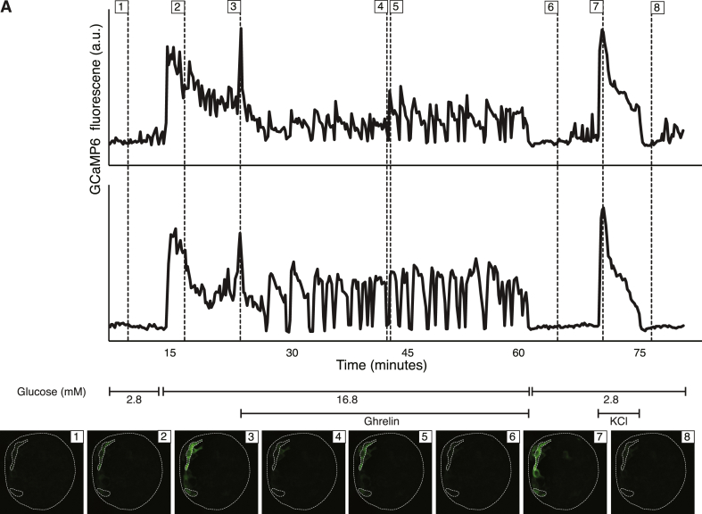 Figure 3