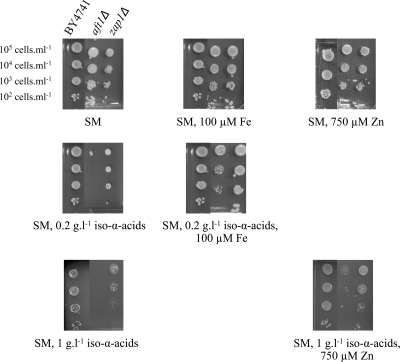 FIG. 6.