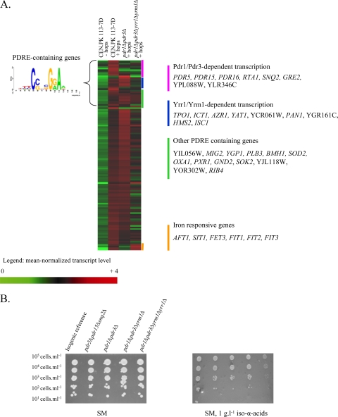 FIG. 3.