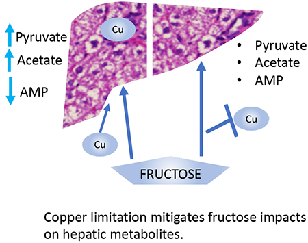 graphic file with name nihms-1546486-f0007.jpg
