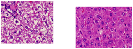graphic file with name nihms-1546486-f0008.jpg