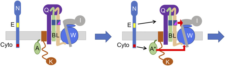 Fig. 11.