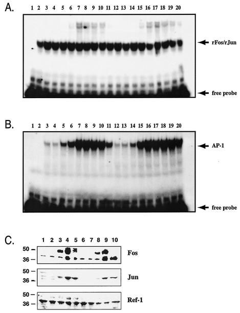 FIG. 4.