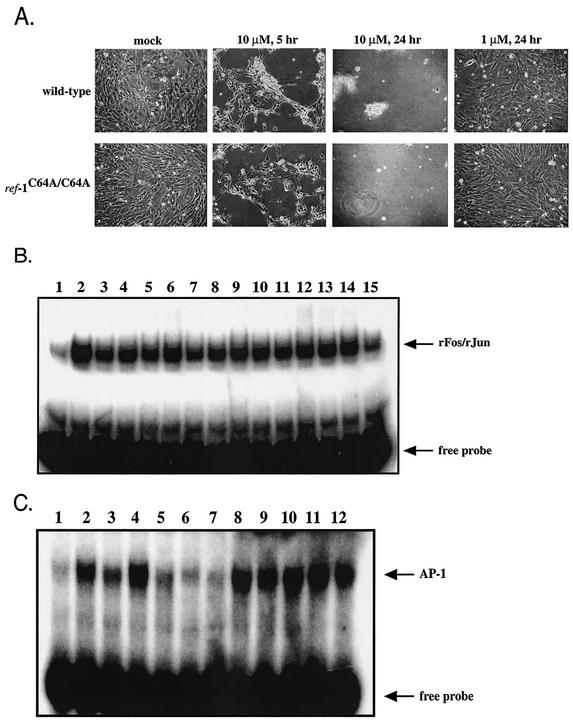 FIG. 5.