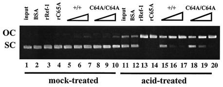 FIG. 2.