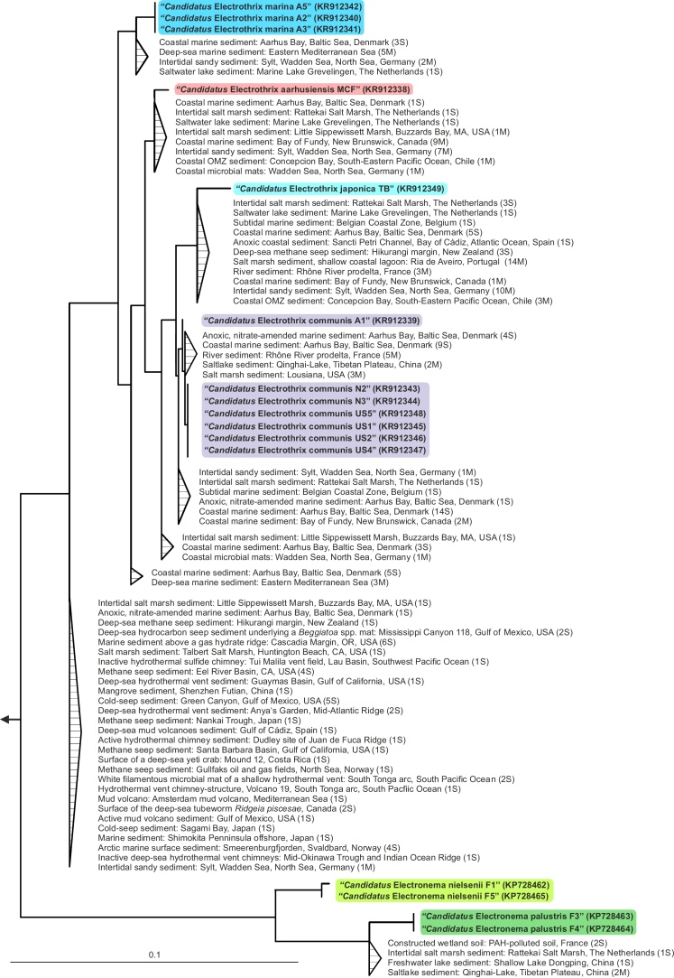 Fig. 3