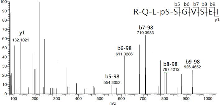 Supplementary Fig. S4B