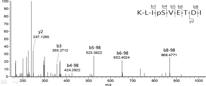 Supplementary Fig. S3B