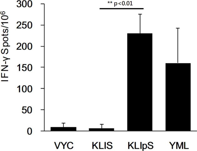 Supplementary Fig. S5