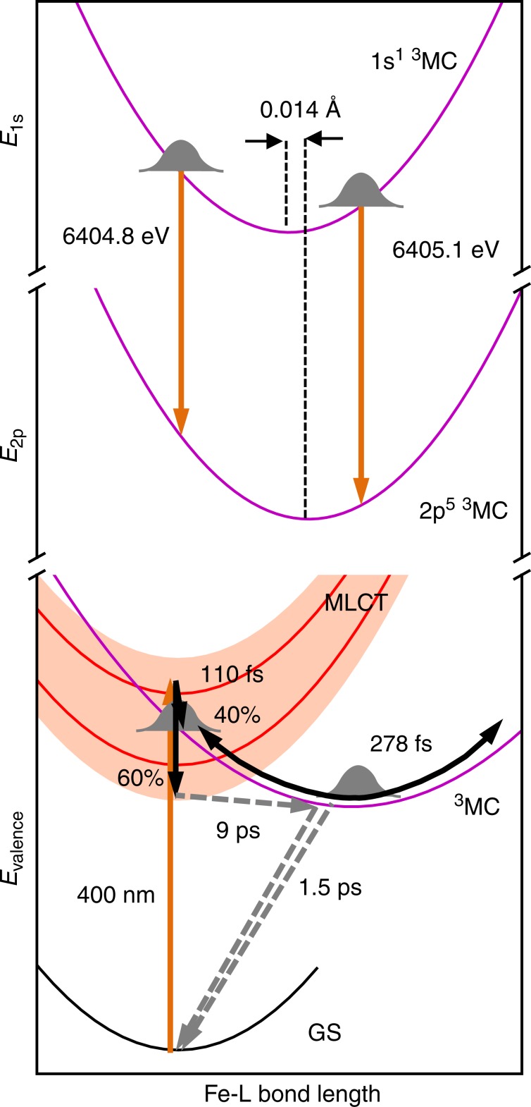 Fig. 7