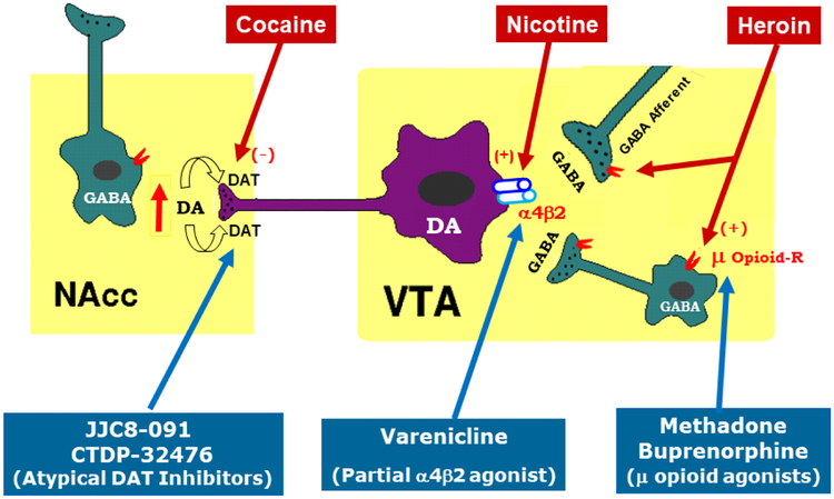 Figure 1: