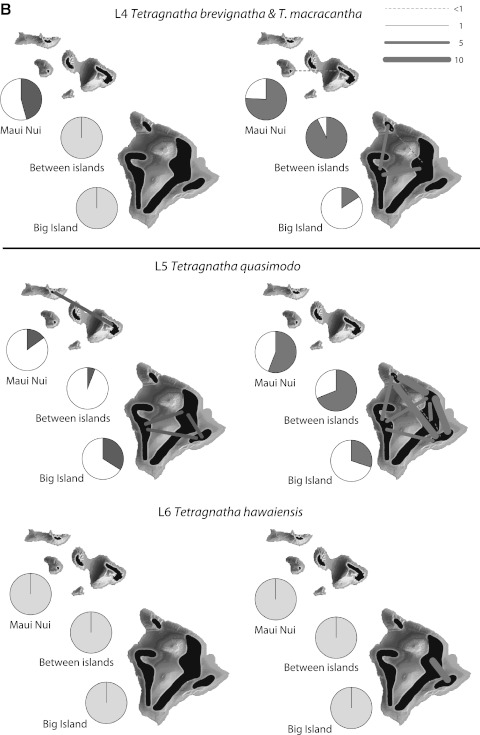 Fig. 3