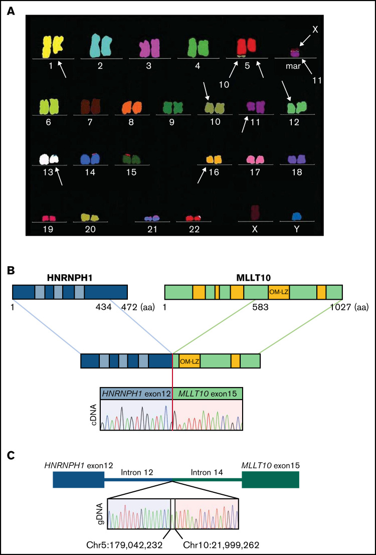 Figure 1.