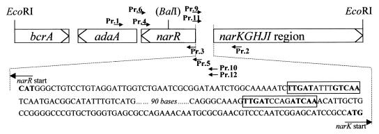 FIG. 1