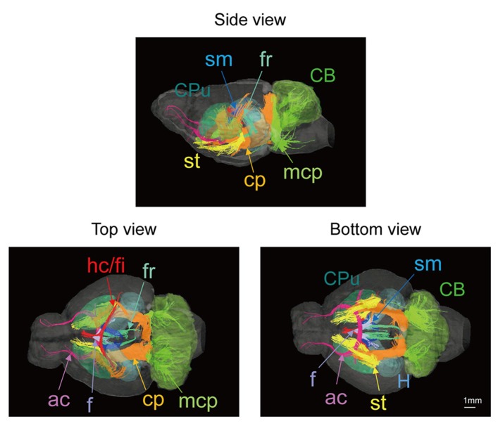 FIGURE 3