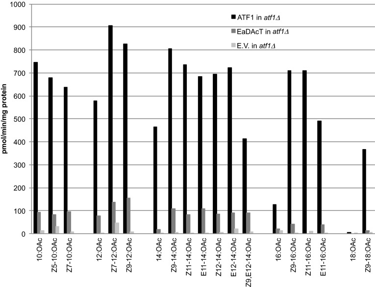 Fig. 5