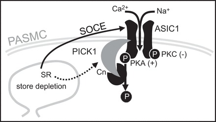 Fig. 11.