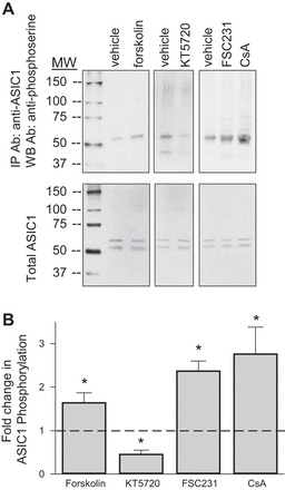 Fig. 10.