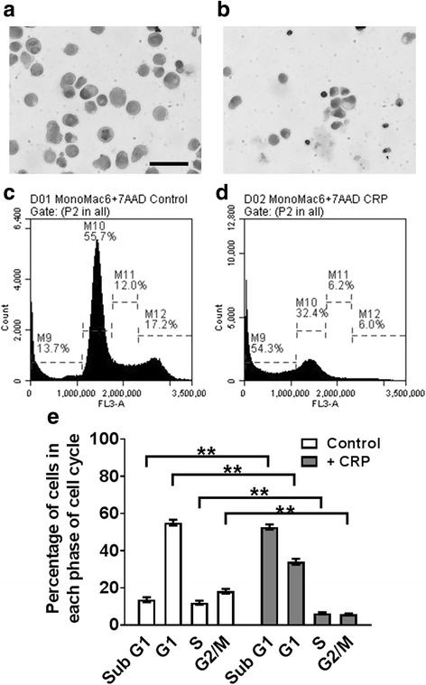 Fig. 10