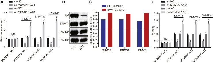 Figure 6