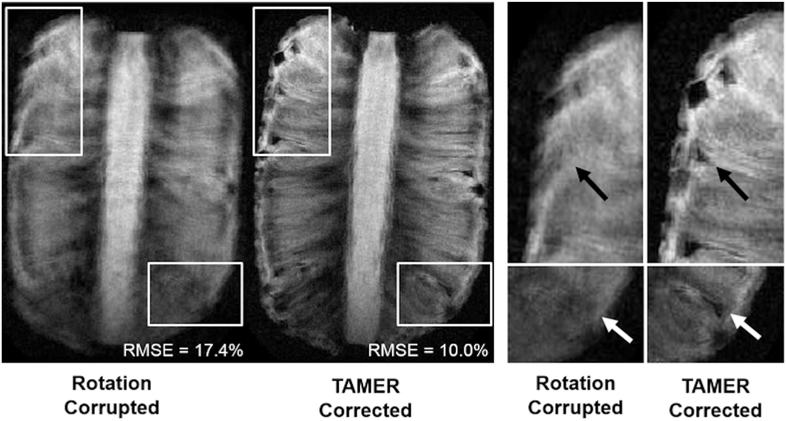 Fig. 9.