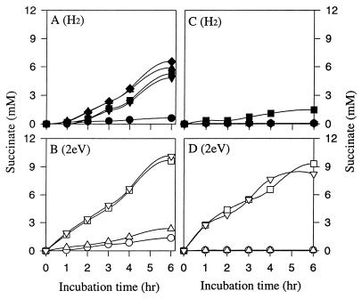 FIG. 6