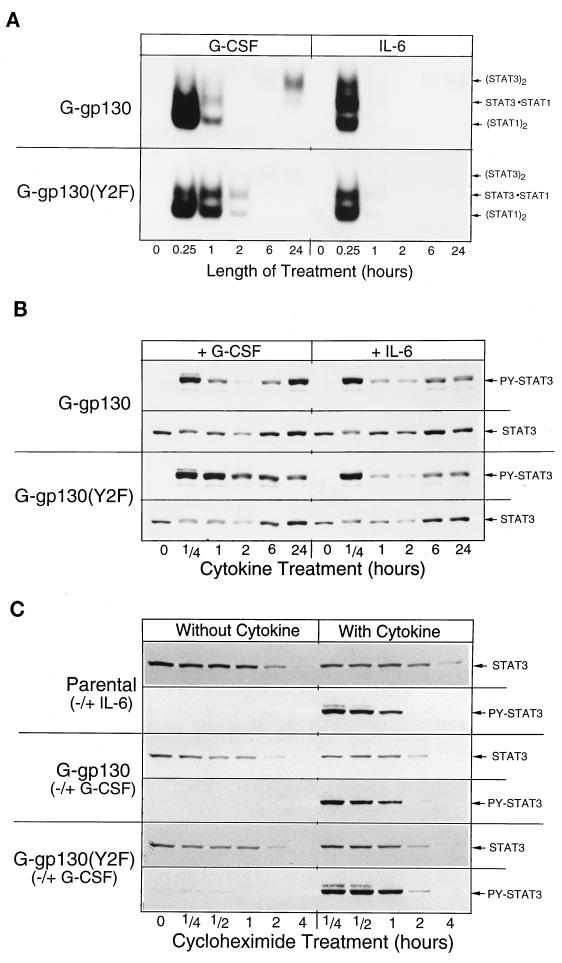 FIG. 5