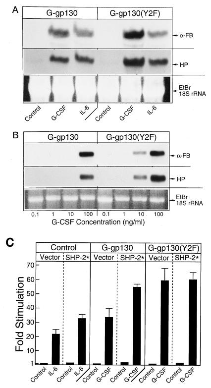 FIG. 6