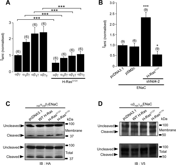 Fig 4