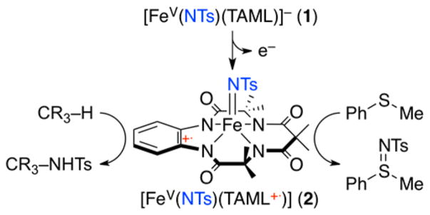 Scheme 1