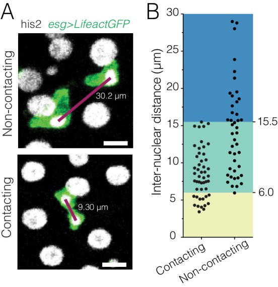 Figure 6—figure supplement 1.