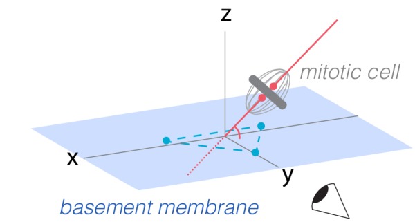 Figure 4—figure supplement 1.