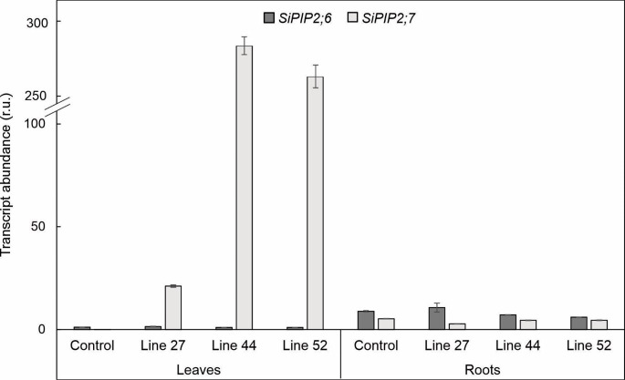 Figure 2—figure supplement 2.