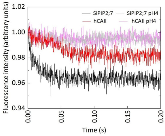 Figure 1—figure supplement 3.