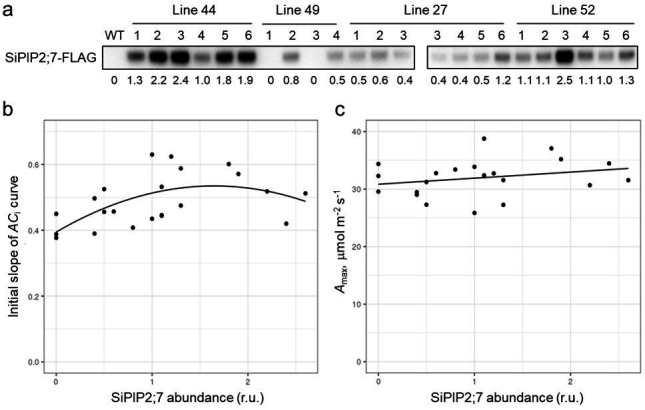 Figure 3—figure supplement 2.