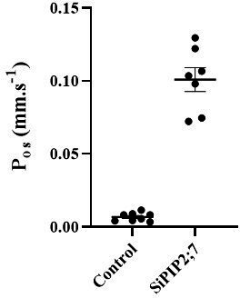 Figure 1—figure supplement 4.