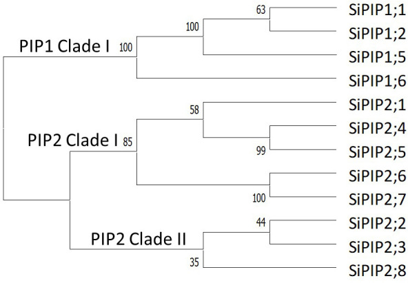 Figure 1—figure supplement 1.